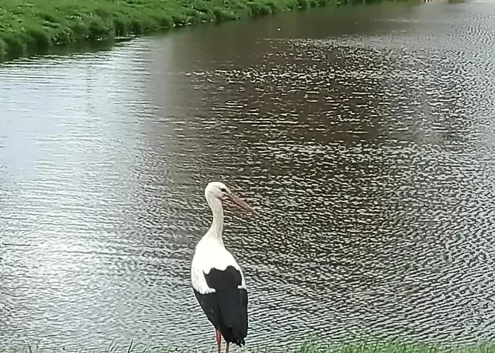 Domek Nad Stawem